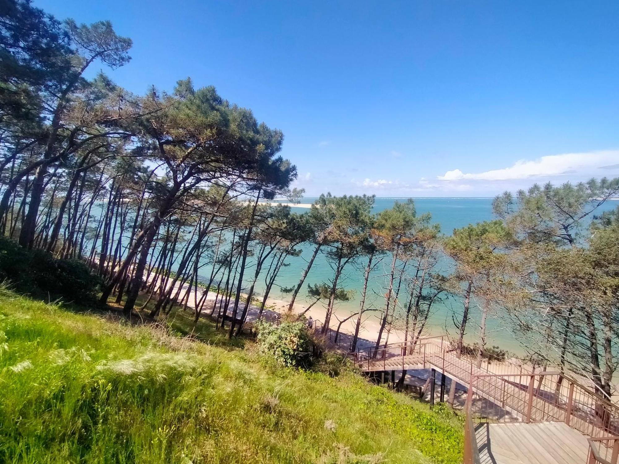 Brach Gite Avec Piscine Et Espace Bien-Etre Partages Entre Bordeaux Et Lacanau Ocean (Adults Only) מראה חיצוני תמונה